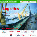 Shipping Agent/Freight Forwarder/Logistics From China to Worldwide- Logistics